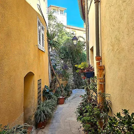 Le Palmier Dore - Calme A Jusqu'a 4 Personnes Appartement *