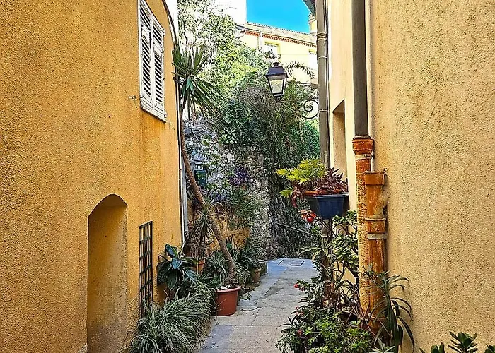 Le Palmier Dore - Calme A Jusqu'a 4 Personnes Appartement *