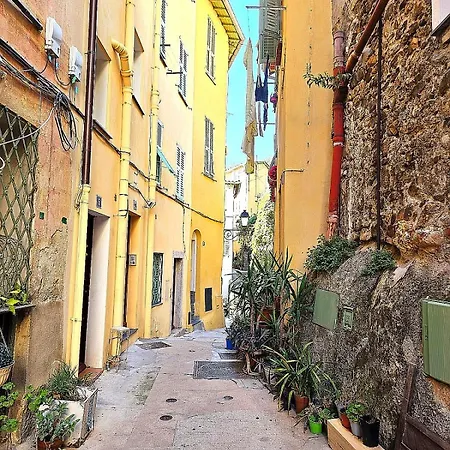 Apartment Le Palmier Dore - Calme A Jusqu'a 4 Personnes